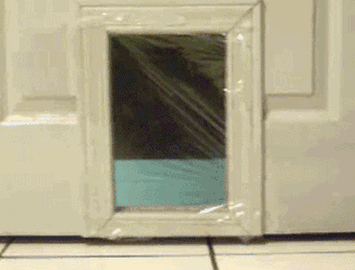 9.gif