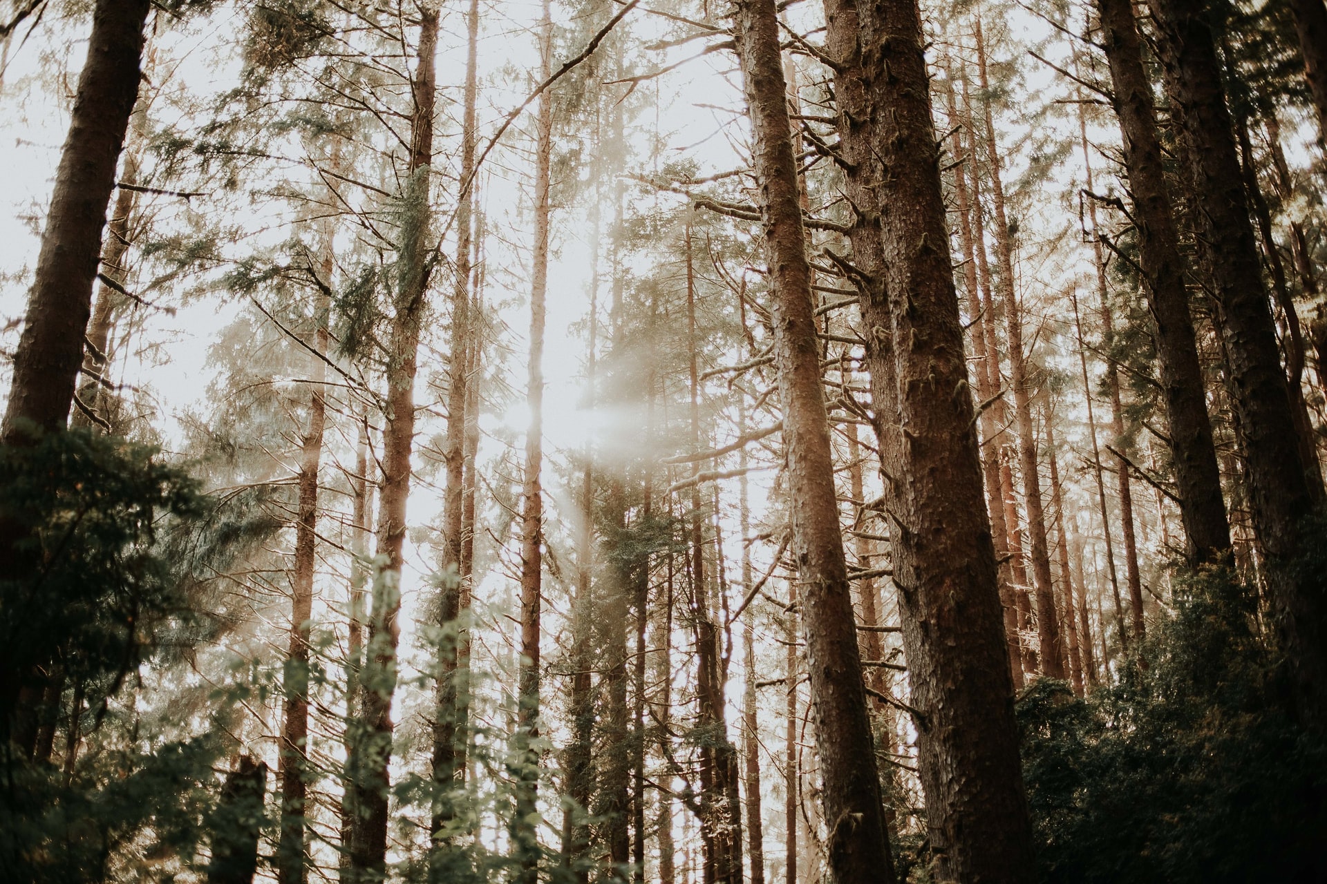 kristina-wagner-0AVmvglwpYw-unsplash.jpg